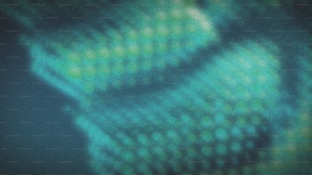 羊角把、牛角、十字扣,春运涨常识→小规划大用处